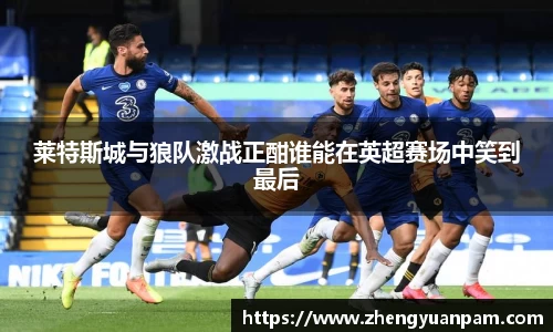 球速体育官网