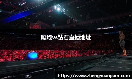 球速体育官网