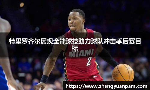 球速体育平台
