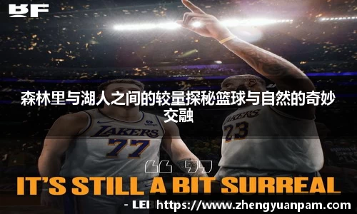 森林里与湖人之间的较量探秘篮球与自然的奇妙交融