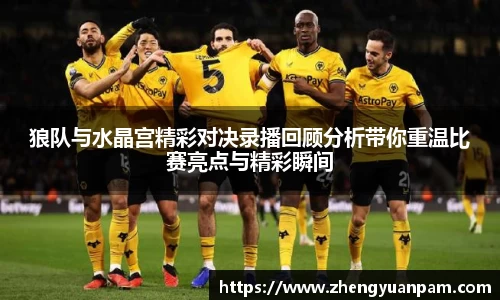 狼队与水晶宫精彩对决录播回顾分析带你重温比赛亮点与精彩瞬间