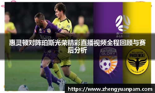 惠灵顿对阵珀斯光荣精彩直播视频全程回顾与赛后分析