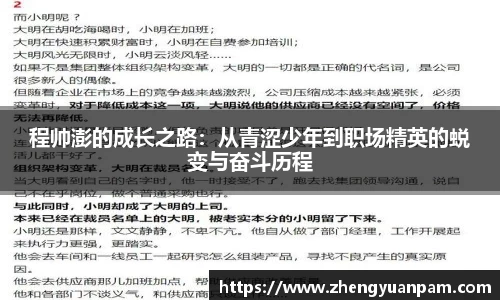 程帅澎的成长之路：从青涩少年到职场精英的蜕变与奋斗历程
