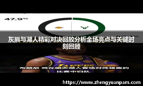 球速体育平台