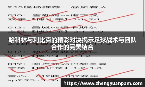 哈科林与利比克的精彩对决揭示足球战术与团队合作的完美结合