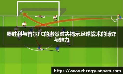 墨胜利与首尔FC的激烈对决揭示足球战术的博弈与魅力