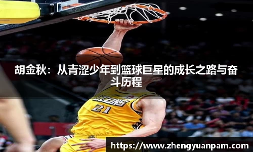 球速体育平台