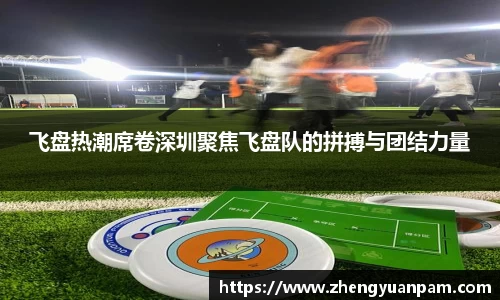 飞盘热潮席卷深圳聚焦飞盘队的拼搏与团结力量