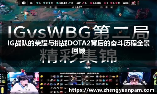 球速体育官网