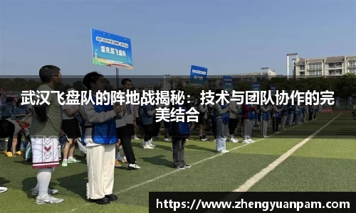 武汉飞盘队的阵地战揭秘：技术与团队协作的完美结合