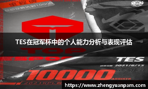 TES在冠军杯中的个人能力分析与表现评估