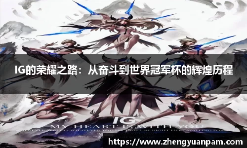 球速体育平台