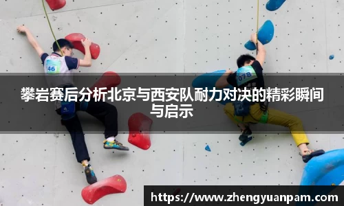 球速体育官网