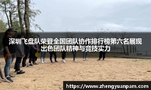 深圳飞盘队荣登全国团队协作排行榜第六名展现出色团队精神与竞技实力